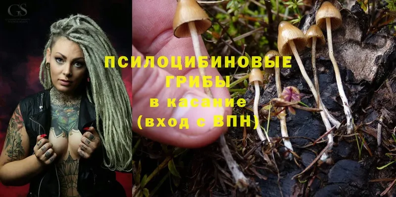 Галлюциногенные грибы Magic Shrooms  Урай 